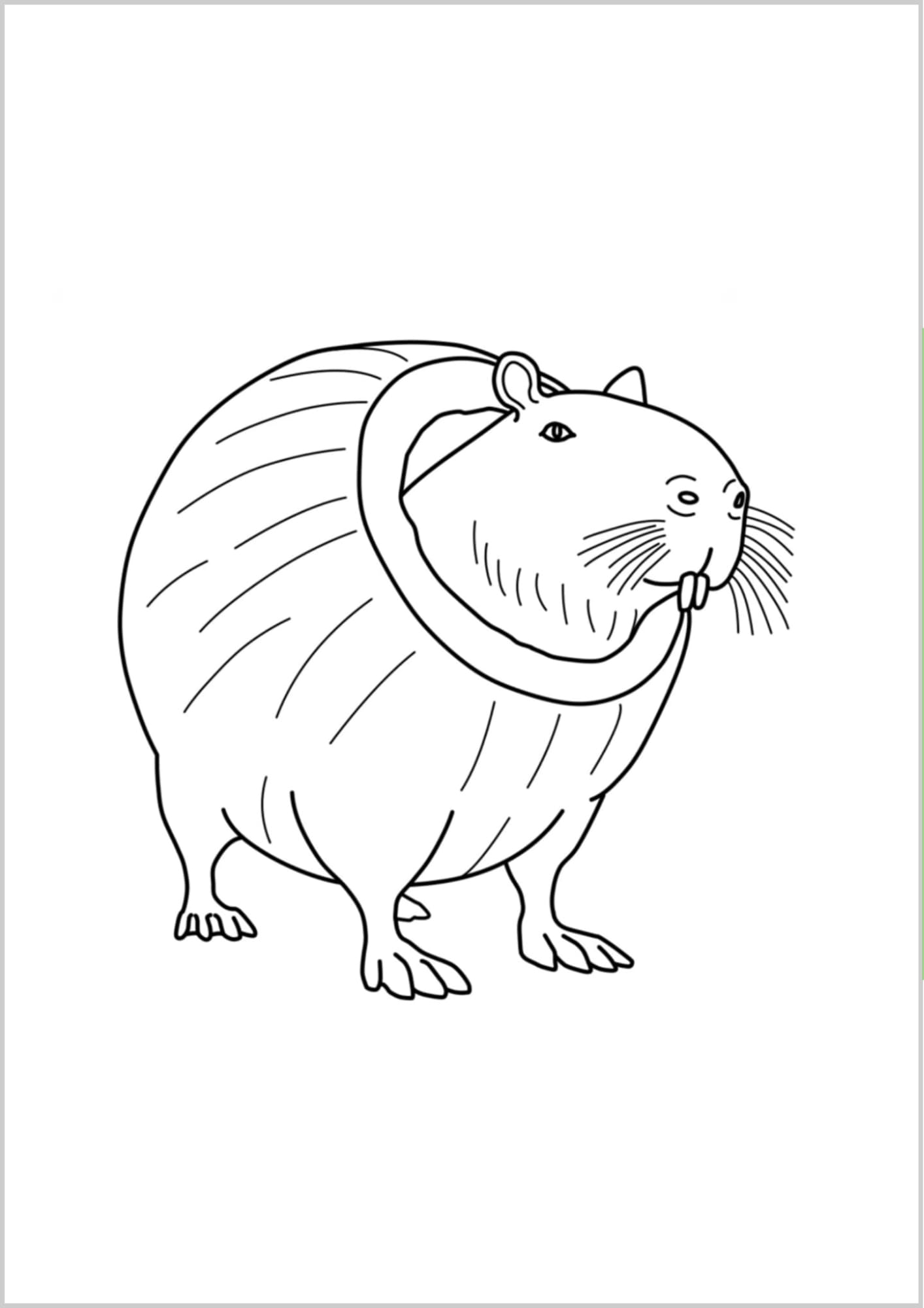 Dibujos-de-Brainrot-Iitaliano-para-colorear-6